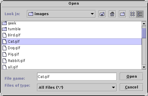 A standard open file chooser shown in the Java Look & Feel