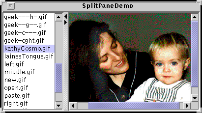 A snapshot of SplitPaneDemo, which uses a list to display image names